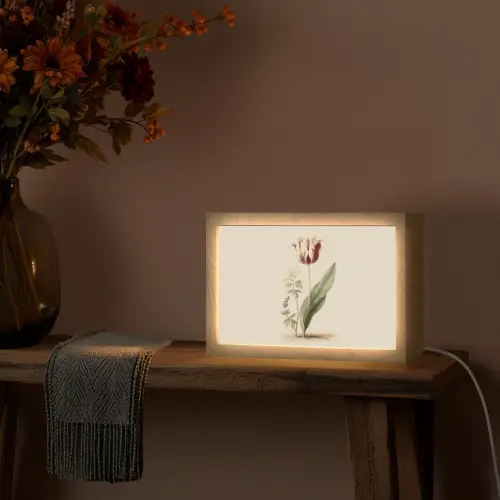 Tulp - Minimalistisch - Beige Light Box met kabel (Tafellamp) klein -sfeer4