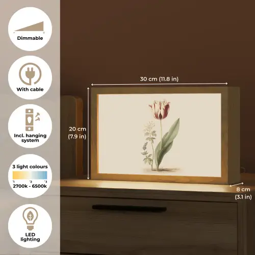 Tulp - Minimalistisch - Beige Light Box met kabel (Tafellamp) klein -USP_EN