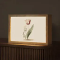 Tulp - Minimalistisch - Beige Light Box met kabel (Tafellamp) klein -z3d_website