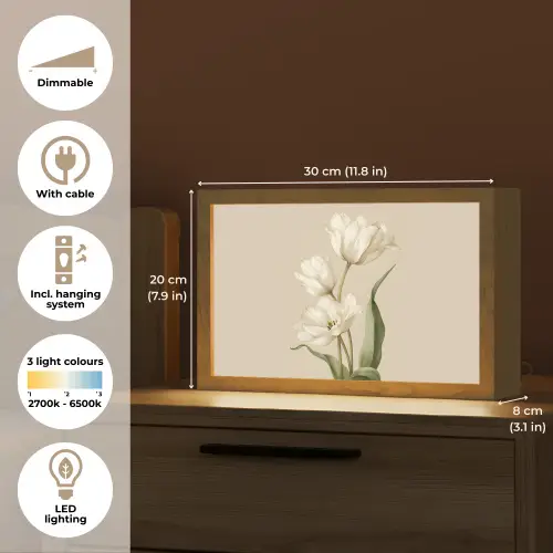 Tulpen - Wit - Bladeren Light Box met kabel (Tafellamp) klein -USP_EN