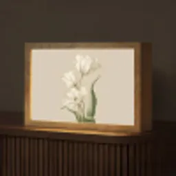 Tulpen - Wit - Bladeren Light Box met kabel (Tafellamp) klein -z3d_website