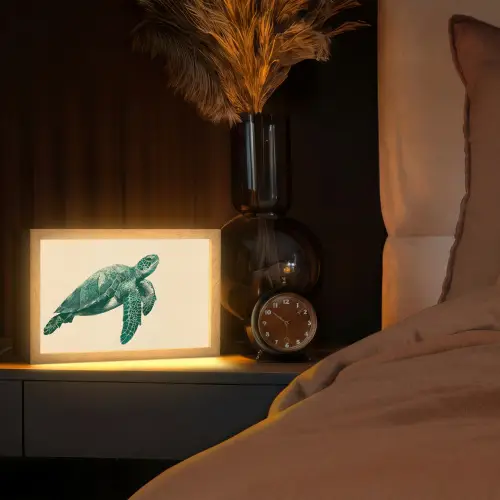 Schildpad - Sierlijk - Groen - Schild Light Box met kabel (Tafellamp) klein -sfeer1