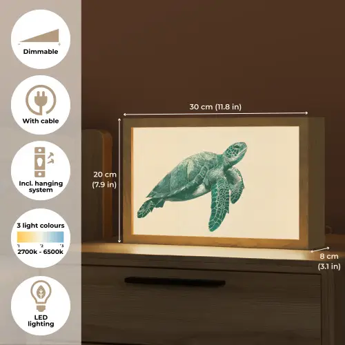 Schildpad - Sierlijk - Groen - Schild Light Box met kabel (Tafellamp) klein -USP_EN