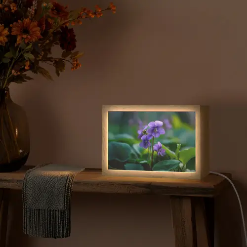 Viooltjes - Paars - Bloem - Bladeren Light Box met kabel (Tafellamp) klein -sfeer4