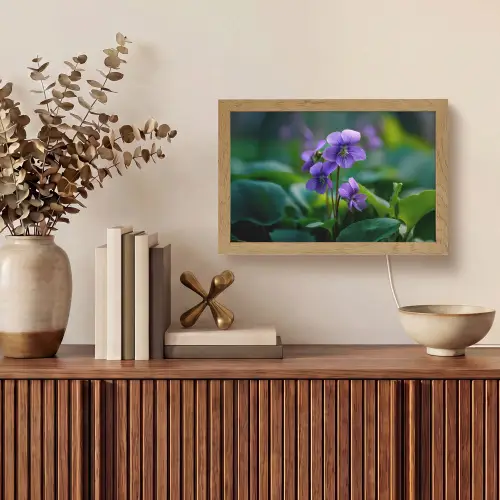 Viooltjes - Paars - Bloem - Bladeren Light Box met kabel (Tafellamp) klein -sfeer2