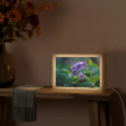 Viooltjes - Paars - Bloem - Bladeren Light Box met kabel (Tafellamp) klein -sfeer4