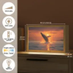 Walvis - Zon - Zee Light Box met kabel (Tafellamp) klein -USP_EN