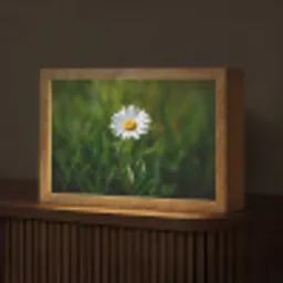 Wit - Madeliefje - Bloem - Gras Light Box met kabel (Tafellamp) klein -z3d_website