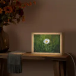 Wit - Madeliefje - Bloem - Gras Light Box met kabel (Tafellamp) klein -sfeer4