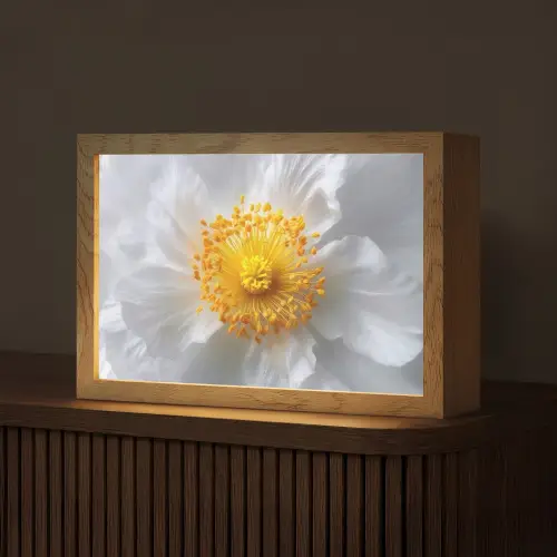 Wit - Bloem - Elegant Light Box met kabel (Tafellamp) klein -z3d_website
