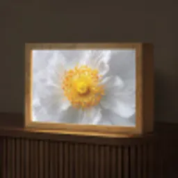 Wit - Bloem - Elegant Light Box met kabel (Tafellamp) klein -z3d_website