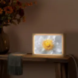 Wit - Bloem - Elegant Light Box met kabel (Tafellamp) klein -sfeer4