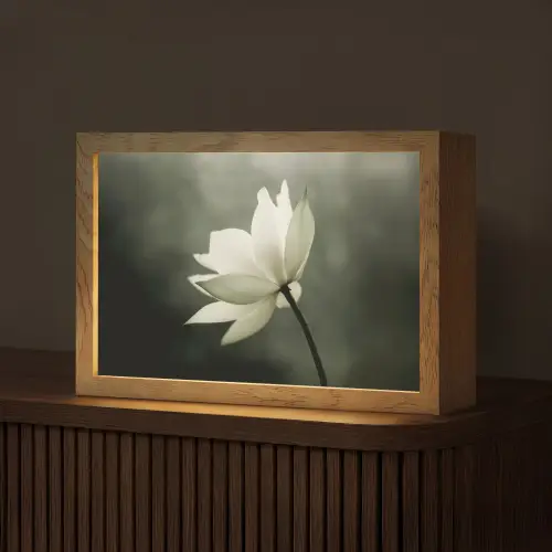 Wit - Lotus - Donker - Bloem Light Box met kabel (Tafellamp) klein -z3d_website
