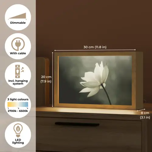 Wit - Lotus - Donker - Bloem Light Box met kabel (Tafellamp) klein -USP_EN