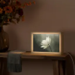 Wit - Lotus - Donker - Bloem Light Box met kabel (Tafellamp) klein -sfeer4