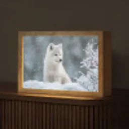 Wolf - Pup - Sneeuw Light Box met kabel (Tafellamp) klein -z3d_website