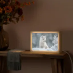 Wolf - Pup - Sneeuw Light Box met kabel (Tafellamp) klein -sfeer4