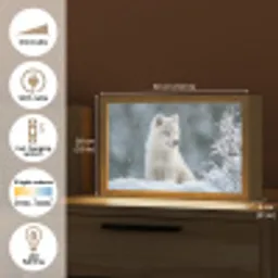 Wolf - Pup - Sneeuw Light Box met kabel (Tafellamp) klein -USP_EN