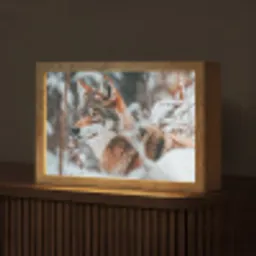 Wolf - Sneeuw - Winter - Dieren - Natuur - Sneeuw Light Box met kabel (Tafellamp) klein -z3d_website