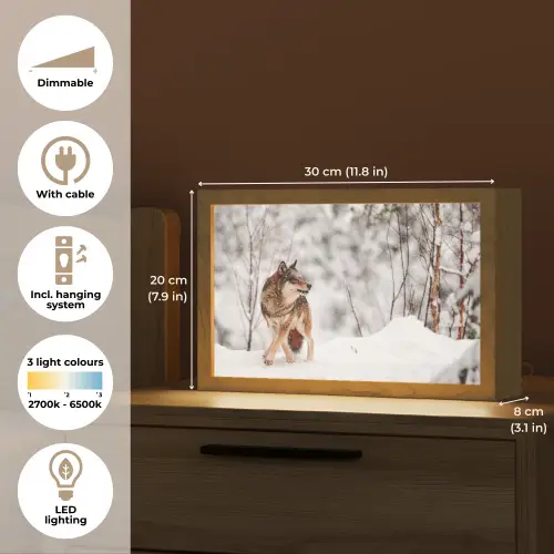 Wolf - Winter - Sneeuw - Natuur - Dieren Light Box met kabel (Tafellamp) klein -USP_EN