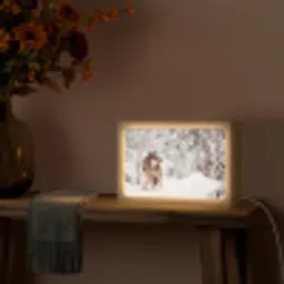 Wolf - Winter - Sneeuw - Natuur - Dieren Light Box met kabel (Tafellamp) klein -sfeer4