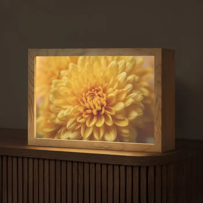 Geel - Chrysant - Zachtheid Light Box met kabel (Tafellamp) klein -z3d_website