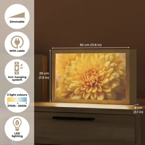 Geel - Chrysant - Zachtheid Light Box met kabel (Tafellamp) klein -USP_EN