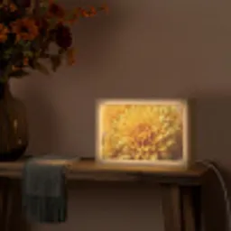 Geel - Chrysant - Zachtheid Light Box met kabel (Tafellamp) klein -sfeer4