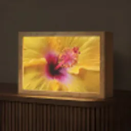 Geel - Hibiscus - Tropisch Light Box met kabel (Tafellamp) klein -z3d_website