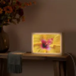 Geel - Hibiscus - Tropisch Light Box met kabel (Tafellamp) klein -sfeer4