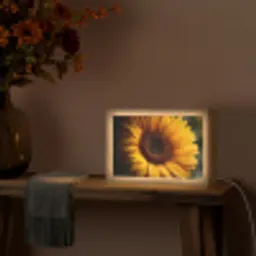 Geel - Zonnebloem - Zomers Light Box met kabel (Tafellamp) klein -sfeer4