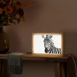 Zebra - Close-up - Zwart - Strepen Light Box met kabel (Tafellamp) klein -sfeer4