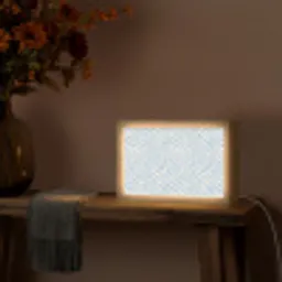 Zebra - Motief - Blauw - Wit Light Box met kabel (Tafellamp) klein 924 -sfeer4