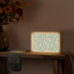 Zebra - Motief - Groen Light Box met kabel (Tafellamp) klein 924 -sfeer4
