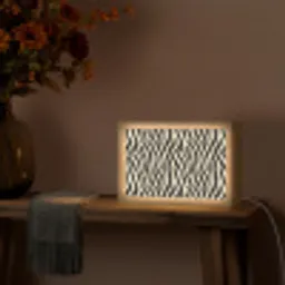 Zebra - Print - Klassiek - Zwart Light Box met kabel (Tafellamp) klein 924 -sfeer4