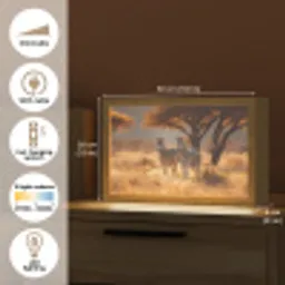 Zebra's - Savannelandschap - Gras Light Box met kabel (Tafellamp) klein -USP_EN