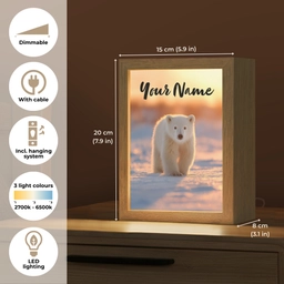 Ijsbeer - Sneeuw - Zonsopgang Light Box met kabel (Kinderlampje) klein -USP_EN
