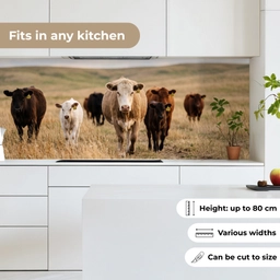 Runderen - Kudde - Landschap - Weide - Rustig keuken achterwand 2 middel -sfeer4_UK
