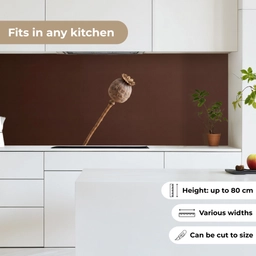 Papaverbol - Droogbloem - Bruin - Minimalistisch keuken achterwand 2 middel -sfeer4_UK
