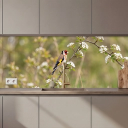 Putter - Bloesem - Lente - Natuur - Kleurrijk keuken achterwand 2 middel zz_3dshopping