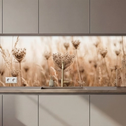 Schermbloem - Droogbloem - Winter - Beige - Minimalistisch keuken achterwand 2 middel zz_3dshopping