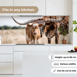 Texas Longhorn - Kalf - Weide - Dieren keuken achterwand 2 middel -sfeer4_UK