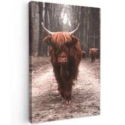Hooglander in het Bos Tuinposter op houten frame 2 cm dik klein -3d