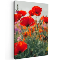 Klaproos - Bloemen - Rood - Paars - Weide Tuinposter op houten frame 2 cm dik klein -3d