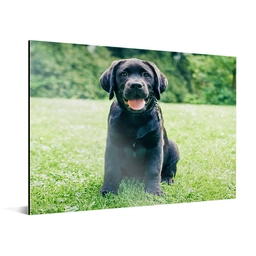 aluminium-product-5.png
