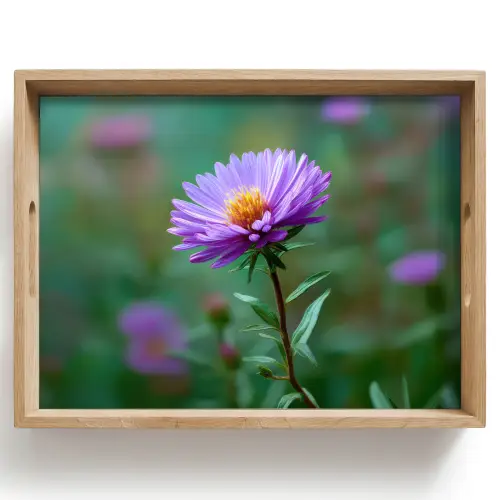 Aster - Paars - Bloem - Blaadjes Dienblad Rechthoek middel -z3d_shopping