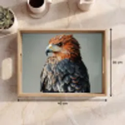 Vogel - Realistisch - Veren - Bruin Dienblad Rechthoek middel -USP_Formaat