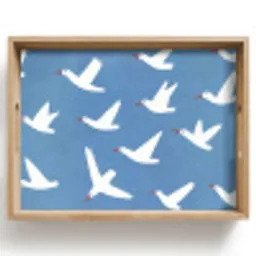 Vogels - Wit - Patroon Dienblad Rechthoek middel -z3d_shopping