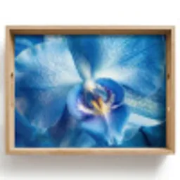 Blauw - Orchidee - Elegeant Dienblad Rechthoek middel -z3d_shopping