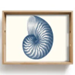 Blauw - Schelp - Spiraal Dienblad Rechthoek middel -z3d_shopping
